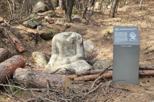 경주시, 남산 재선충 벌목 작업 중 문화재 훼손…감독 부실 논란