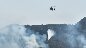 [동네뉴스] 장애학계 “산불 등 재난 시에 장애인 대책 강화 필요”