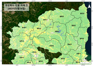 경북 산불, 위성 테이터로 해석해 보니…<주>지오씨엔아이 GIS 및 위성 영상 기반 분석