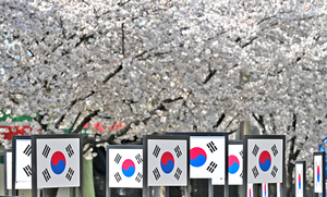 [포토뉴스]태극기가 자랑스러운 대한민국의 아름다운 봄을 기대하며