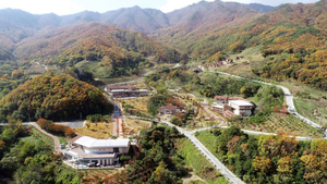 경북도, 산불 피해 주민 심리회복 나선다