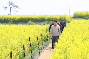 유채꽃 물결보러 호미곶 오세요