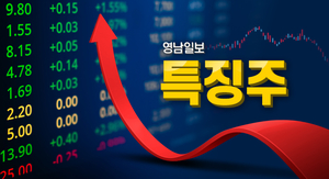 대동스틸·현대비앤지스틸·신스틸·금강철강·문배철강 등 철강중소형株 강세…미 LNG 기대감?