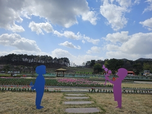 예천 회룡포, 봄꽃 향연으로 물들다
