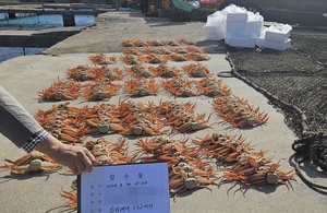 암컷대게 2천700여 마리를 유통한 베트남 국적 선원 일당 검거