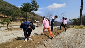 HWPL·산림보호협회, 산불피해 회복 위해 대구경북 곳곳서 나무심기