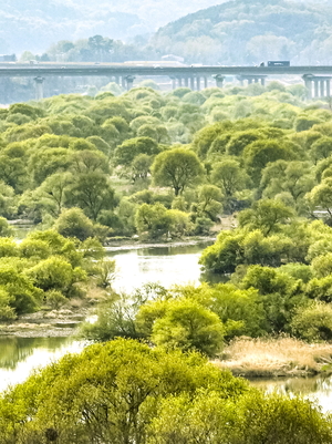 주말 낮 ‘초여름 날씨’ 한낮 최고 28℃