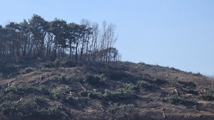 관광농원 간판 걸고 ‘참외농장·토목공사’?