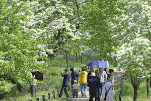 대구경북 전역 강풍 동반 건조특보 발령…산불주의
