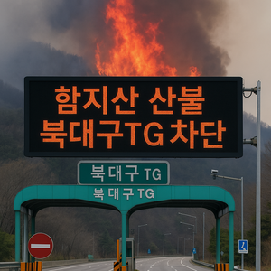 북대구TG 진출입 통제…함지산 산불, 퇴근길 비상