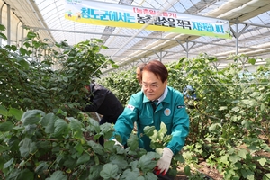 청도군, 농촌일손돕기 본격 시작…3만명 상당 노동력 지원