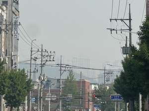 [대구 함지산 산불]30km 떨어진 구미, 칠곡까지 영향