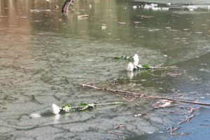 [달성 저수지 ‘중학생 영웅’ 단독·연속 보도] 대구 ‘의로운 시민’ 제도 바꿨다