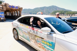 울진 관광택시, 한 달 만에 150건 예약 인기