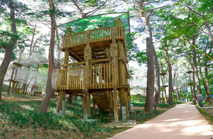 영덕 산림체험시설 ‘산성계곡 생태공원 어드벤처’ 개장