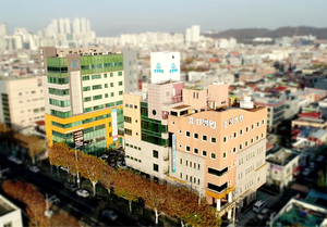[지역의료의 미래, 전문병원]〈8〉효성병원-출산부터 치유·난임 극복까지 토털케어