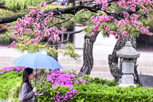 3일 대구경북 흐리고 비…낮 기온 13~16℃ 쌀쌀