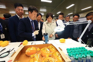 송미령 농식품부장관, 베트남 수출 성주 참외 검역 현장 방문