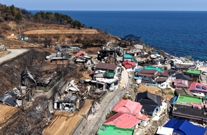 대구국세청, 안동 등 경북 산불피해특별재난지역 ‘세정지원’ 본격화