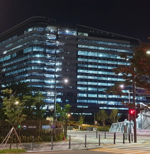 6월3일까지 대한민국은 리더십 공백