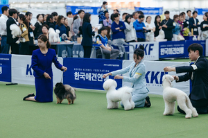 대구경북 최대 반려동물 축제 ‘제22회 대구펫쇼’ 23일 개막