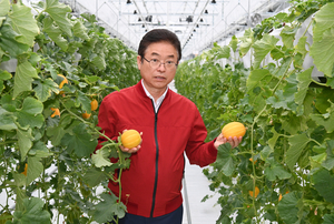 성주 참외 첨단기술 적용해 생산성 2배 끌어 올려