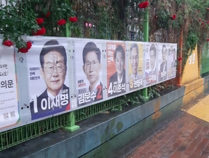 경북 영주서 선거 벽보 훼손 잇따라… 경찰, 고의성 여부 집중 수사