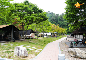 별빛 쏟아지는 청정 계곡…영양 청소년수련원 캠핑장, 여름 피서지로 주목
