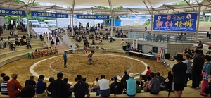 경산시, 전국남녀궁도대회·대학장사씨름대회 개최