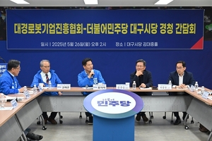 [6·3대선]민주당 대구 선대위, ‘AI로봇 수도 대구’ 위한 기업 의견 청취