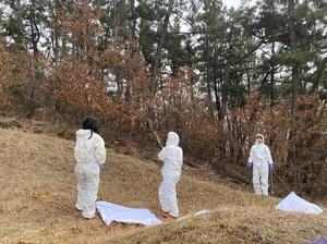 대구 수성구 산책로서 ‘라임병’ 병원체 검출…“주의 당부”