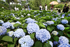 대구경북 낮 최고 30℃ 넘는 더위…일교차 15℃ 내외 건강관리 주의