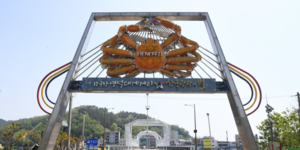 [영덕의 푸른길, 이야기를 따라 걷다] ‘대게의 고장’ 강구대교 건너면 집게발에 놀라고 갓 찐 향에 취한다