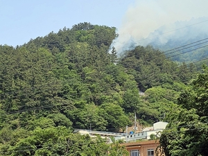 울릉군 산불 발생