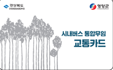 영양군, 70세 이상 어르신에 시내버스 무임승차 시행…7월 1일부터 본격 운영