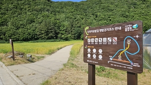 울릉도 나리분지 보리밭, 힐링 명소로 부상