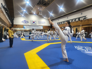 ‘2025 대구세계대학태권도페스티벌’ 다음달 5~8일 계명대 성서캠퍼스에서 개최