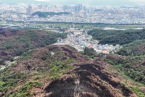 [포토뉴스] 타오른 함지산 아래 조야동, 장마엔 산사태 공포 