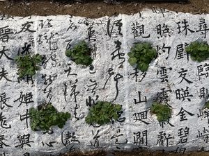 대구문화예술회관 지역 중견작가 4인 집중 조명하는 ‘2025 리딩 아티스트’展 개최