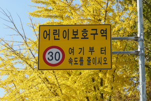 [어떻게 생각하십니까] ‘스쿨존 시간제’ 도입 앞둔 대구…찬반의견 물어봤더니