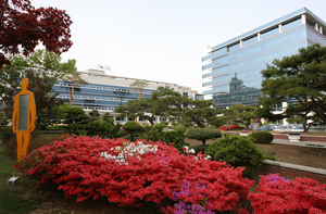 대구 ‘영유아학교 시범기관’ 43곳, 현장 컨설팅 진행