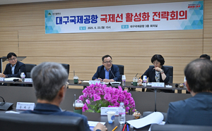 대구공항의 ‘화양연화’를 다시…대구시 ‘국제선 활성화’ 회의