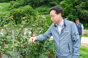 “폐기 위기 산딸기, 경로당으로 간다”…월성원자력본부, 지역농가 긴급 지원