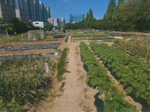 [공매정보] 포항 남구 효자동 철도용지