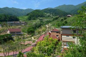 “경북에 가면…치유가 절로” 경주 골굴사, 국립김천 치유의 숲 등 웰니스관광지 10곳 신규 지정