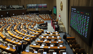 ‘채상병·내란·김건희 특검법’, 국회 본회의 통과