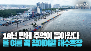 [영상] 추억의 해수욕장 18년 만에 돌아왔다···폭염 날려줄 동해안 해수욕장 개장