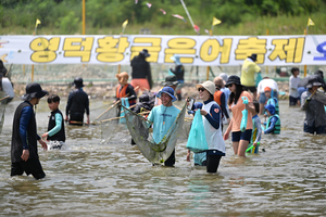 ‘영덕황금은어축제’ 산불 이후 첫 대규모 지역축제로 열린다
