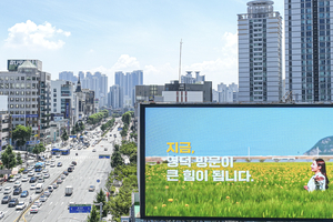[포토뉴스] 여러분의 발길이 산불 피해 지역에 희망을 심습니다.