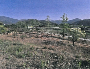 [공매정보] 청도군 각남면 전, 답,대, 하천